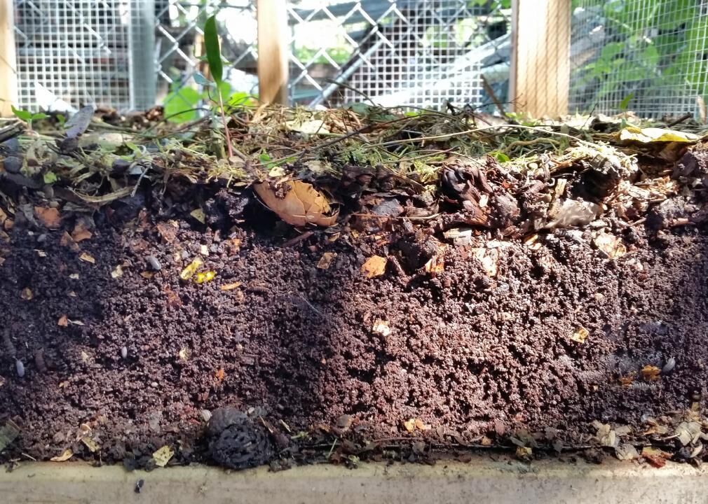 #5. Composting/aerobic processes
